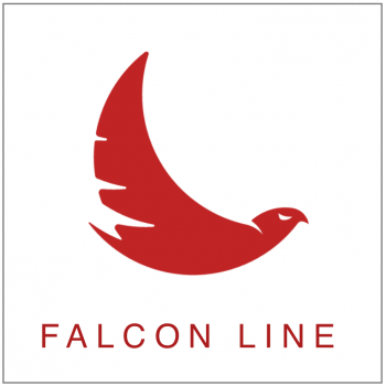 Falcon Line Icon