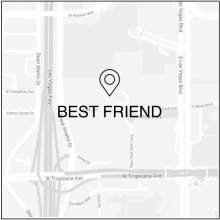 Best Friend Map Icon