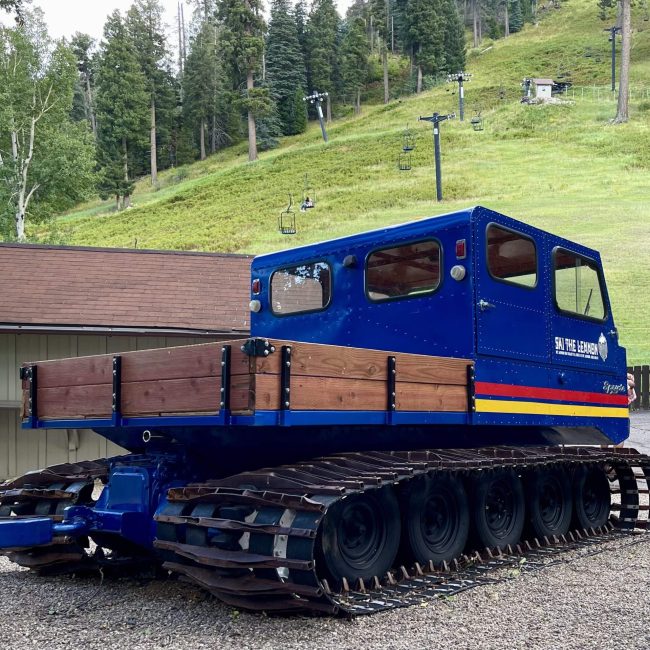 Group Drive to Tucson and Mount Lemmon